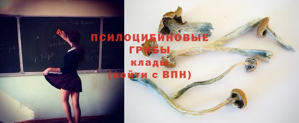 соль ск Алексин