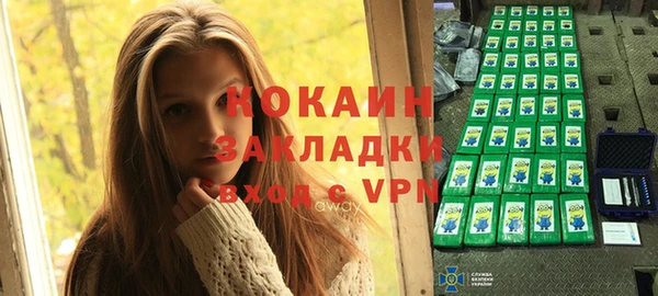 соль ск Абаза