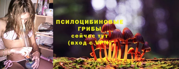 винт Алзамай