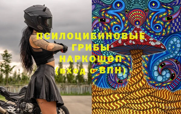 соль ск Абаза