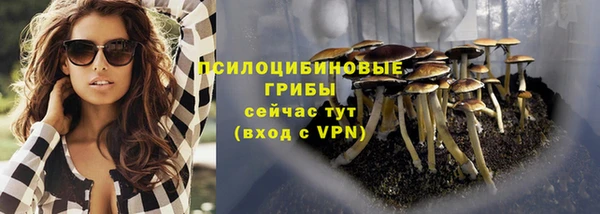 а пвп мука Алексеевка