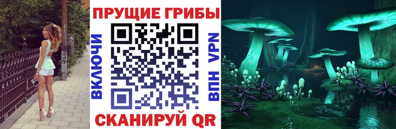 hydra рабочий сайт  Белореченск  Псилоцибиновые грибы GOLDEN TEACHER  купить наркоту 